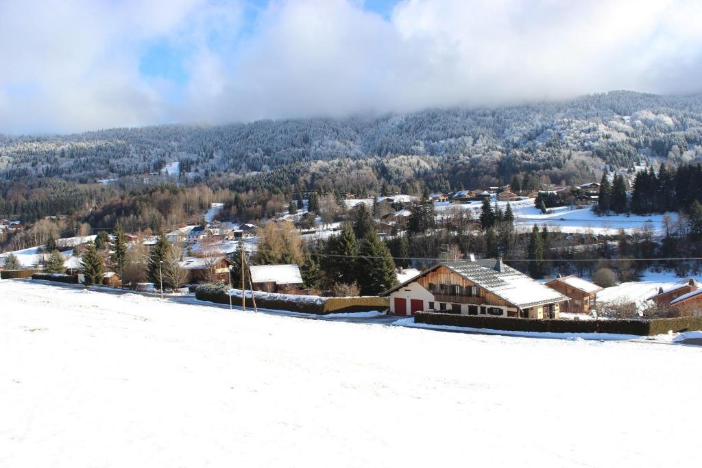 Le Chalet D'Ulysse Araches-la-Frasse Exterior photo